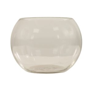 Clear Bowl Vase