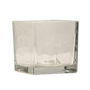 Glass Cube Vase
